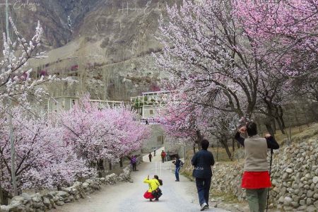 Colors of spring in Hunza pakistan
